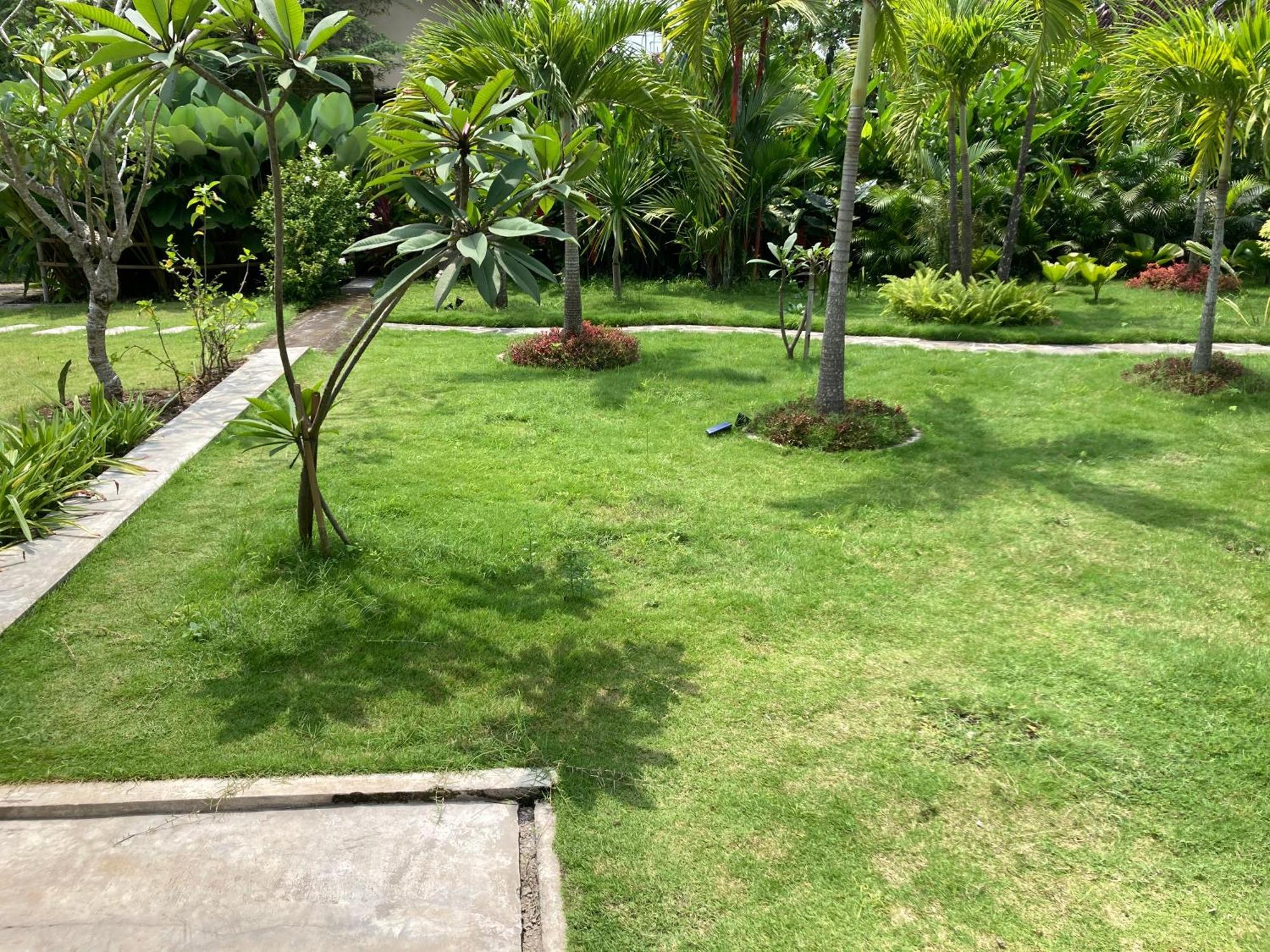 Ohmmstay - Rumah Pendopo Tanjungtirto Bagian luar foto