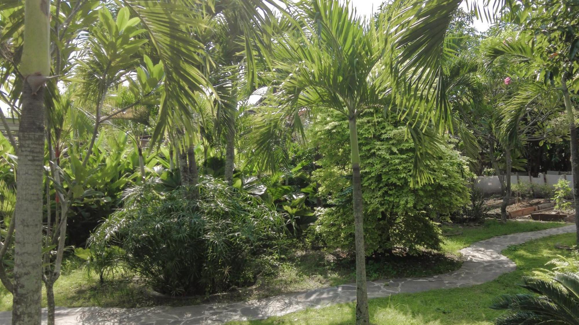 Ohmmstay - Rumah Pendopo Tanjungtirto Bagian luar foto